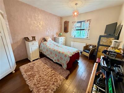 Picture 8